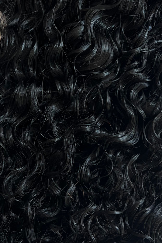 BURMESE CURLY